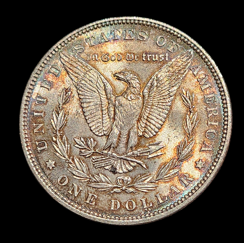 1888 Morgan Dollar Toned