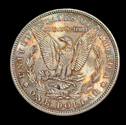 1888 Morgan Dollar Toned